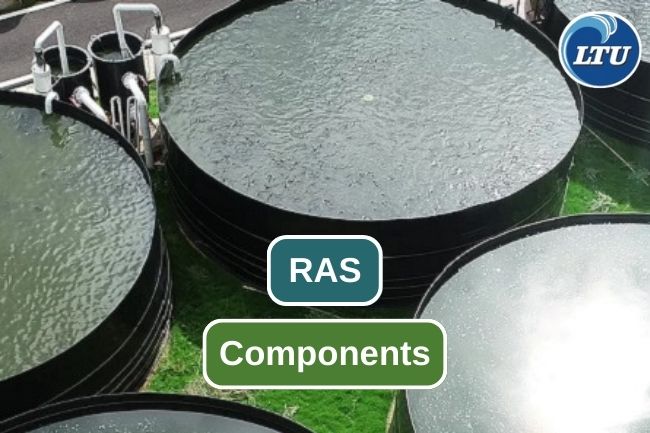 12 Tools Needed in RAS Cultivation